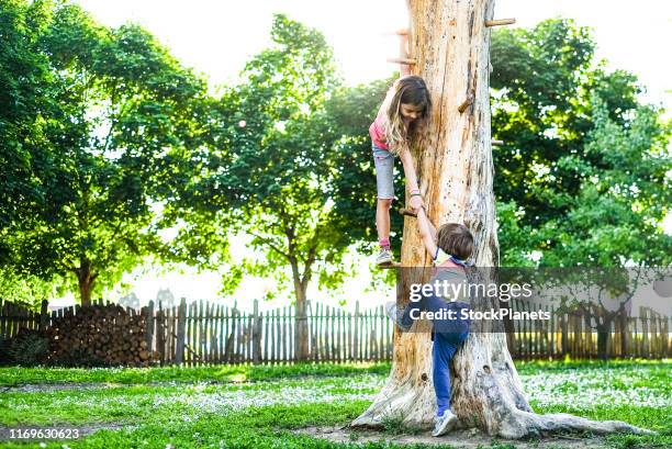 cute little girl helping small boy to climb a tree - kids climbing stock pictures, royalty-free photos & images