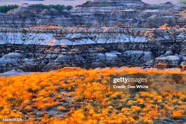 alberta canada countryside - alberta badlands stock pictures, royalty-free photos & images