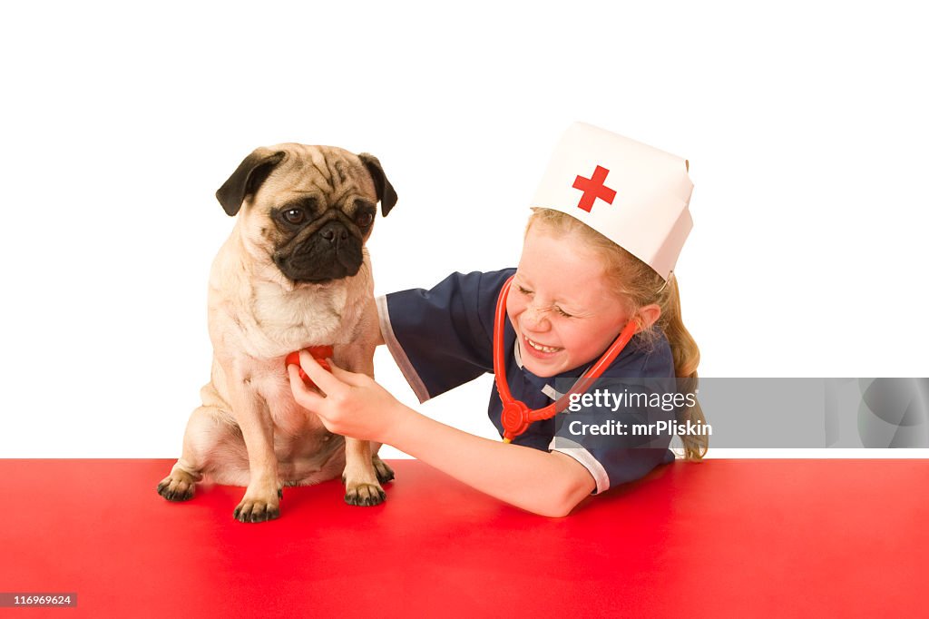 Vétérinaire avec chiot chien jouant