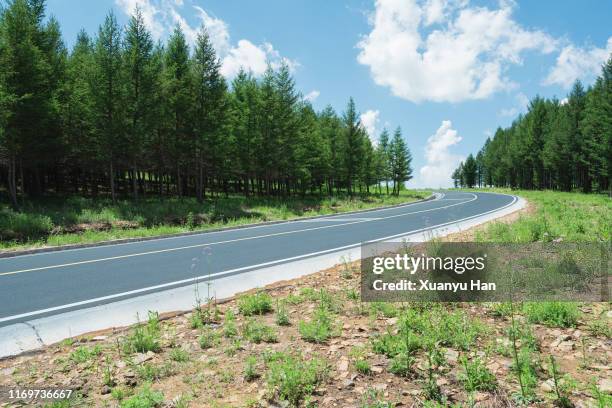 Eastern Rural Road Eastern Road Nature Reserve Photos and Premium High Res Pictures ...