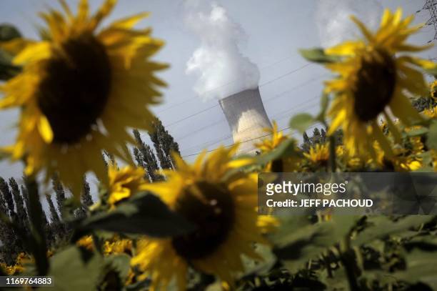Reactor's cooling towers are seen at the Tricastin nuclear power plant, on August 27, 2008 in Bollene. Vue d'une cheminée de la centrale nucléaire du...