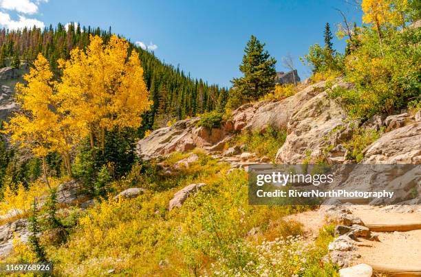 rocky mountain nationalpark, colorado im herbst - farbe ändern stock-fotos und bilder