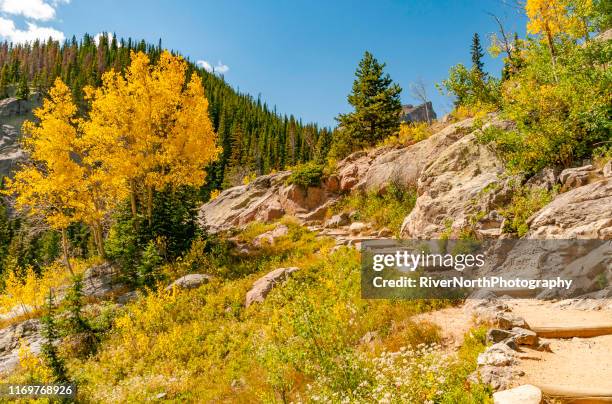 rocky mountain national park, colorado in autumn - rocky mountain national park stock pictures, royalty-free photos & images