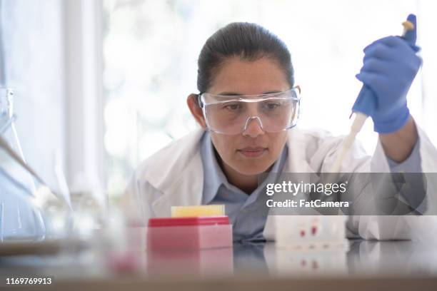 41 Bloodwork Lab Stock Photos, High-Res Pictures, and Images - Getty Images
