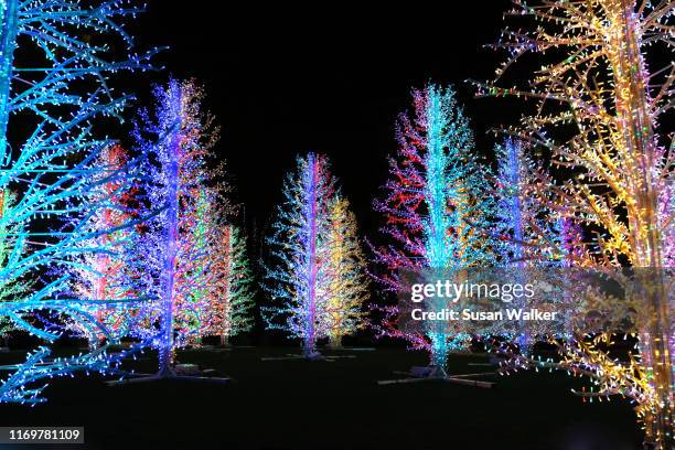 christmas trees - winter wonderland londen stockfoto's en -beelden