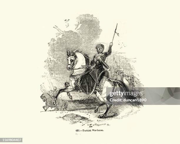 warrior riding a turkish war horse - ottoman empire stock illustrations