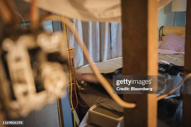 Dog sits on a bed in a home destroyed during Hurricane Irma in Marathon Key, Florida, U.S., on Monday, Sept. 16, 2019. By the end of the century, 13...