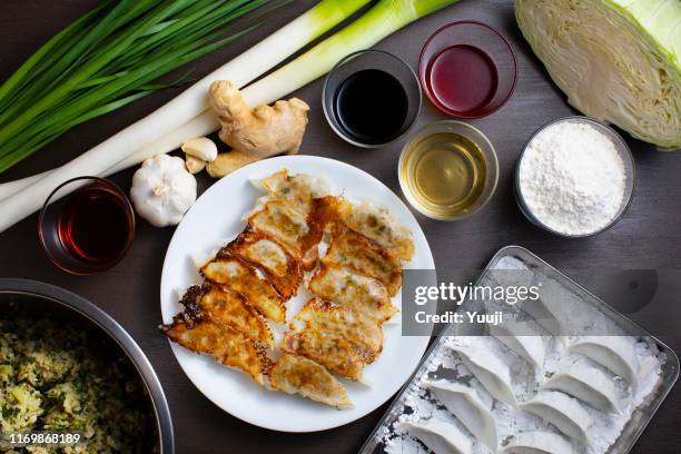 和風餃��子。上から取り出した餃子のレシピや食材で餃子や焼き餃子を作ります。 - 点心 ストックフォトと画像