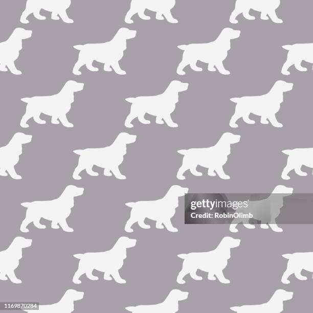 English Cocker Pattern 18 Cocker High Res Vector Graphics - Getty Images