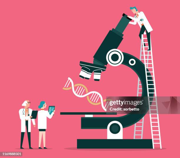 wissenschaftler, die den dna-code-bestand analysieren - forscher labor stock-grafiken, -clipart, -cartoons und -symbole