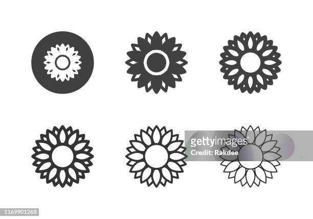sonnenblumen-ikonen - multi-serie - sunflowers stock-grafiken, -clipart, -cartoons und -symbole