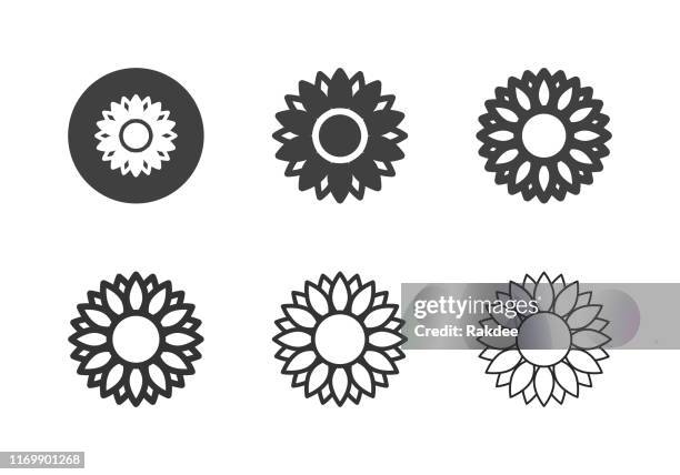 stockillustraties, clipart, cartoons en iconen met zonnebloem icons-multi serie - bloemblaadje