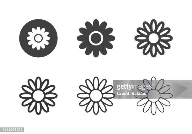 ilustrações de stock, clip art, desenhos animados e ícones de daisy flower icons - multi series - margarida