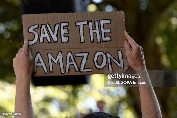 Protester holds a placard that says save the amazon during the demonstration. Adult and youth walking out of work and schools to demand for an end to...