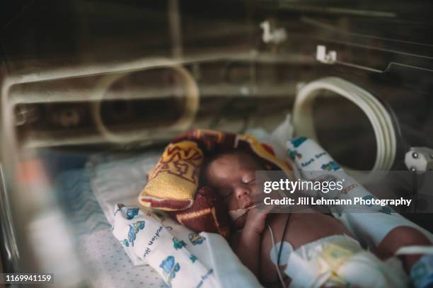 premature baby sleeps in nicu in his isolette with oxygen and feeding tubes - incubator imagens e fotografias de stock