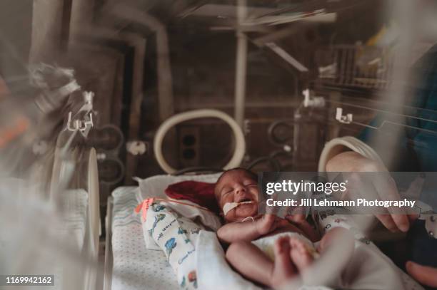 mother assists premature baby in nicu while in isolette with oxygen and feeding tubes - nasal cannula stock pictures, royalty-free photos & images