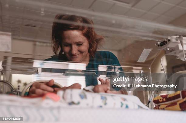 mother cares for premature baby in nicu while he is in his incubator - unidad de cuidados intensivos neonatales fotografías e imágenes de stock