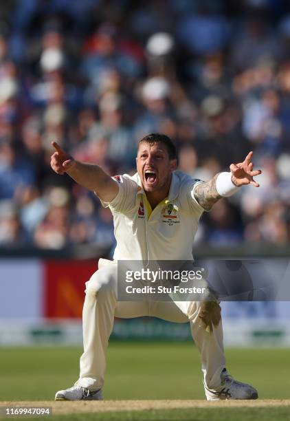 Australia bowler James Pattinson appeals in vain during day three of the 3rd Ashes Test Match between England and Australia at Headingley on August...
