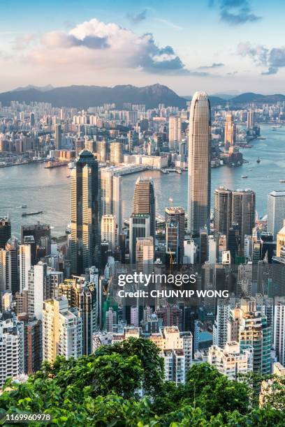 vista dello skyline di hong kong - hong kong foto e immagini stock