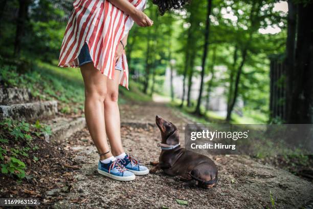 giving snack to a good boy - grant forrest stock pictures, royalty-free photos & images