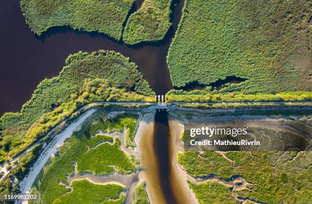 veins of earth - bretagne, france - beach bird's eye perspective stock pictures, royalty-free photos & images