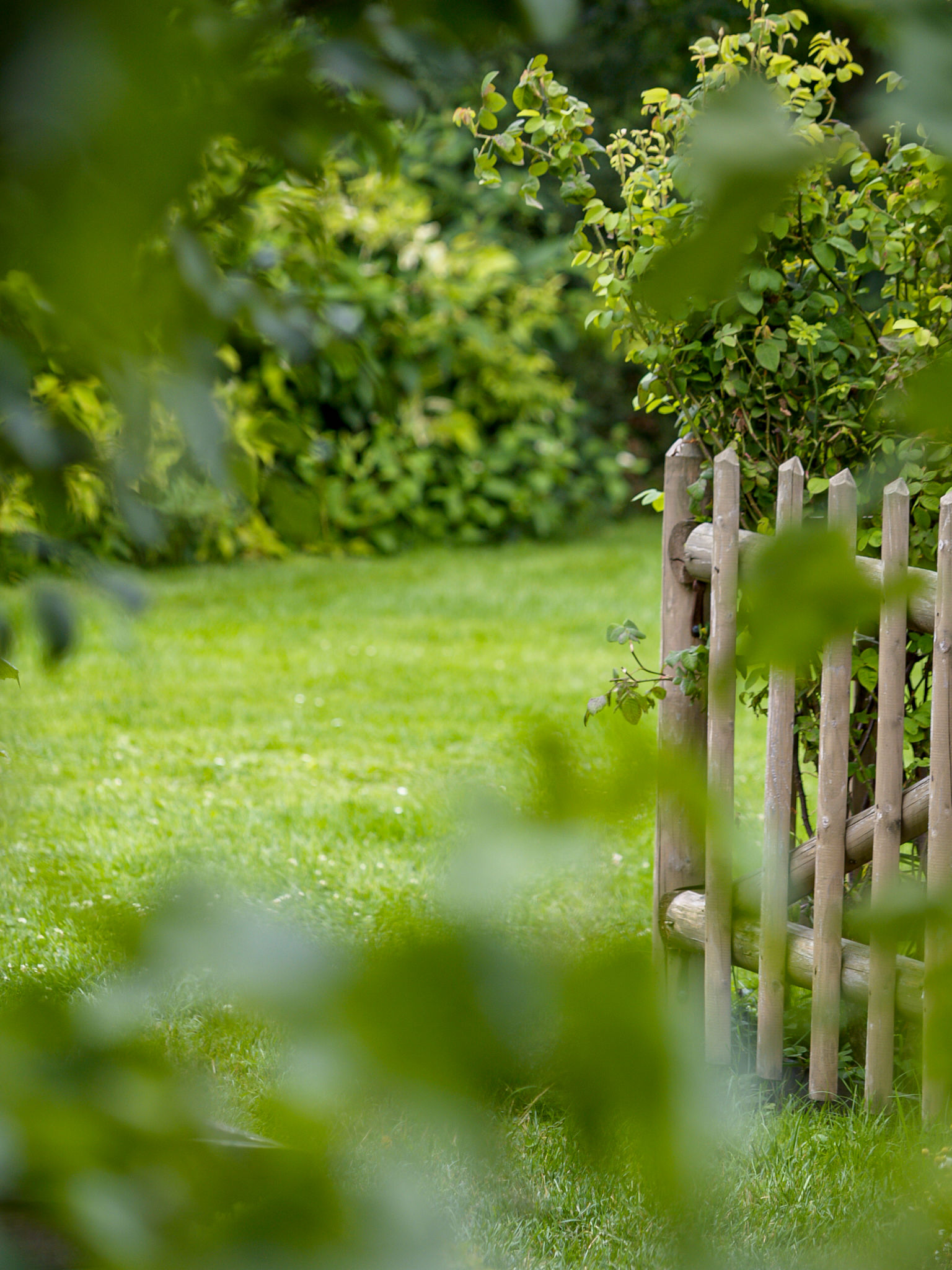 clôture jardin