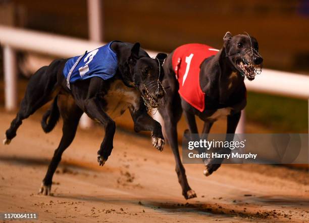 Dublin , Ireland - 21 September 2019; Blue East, right, races next to Clonbrien Prince, on its way to winning race nine, The Michael Fortune Memorial...