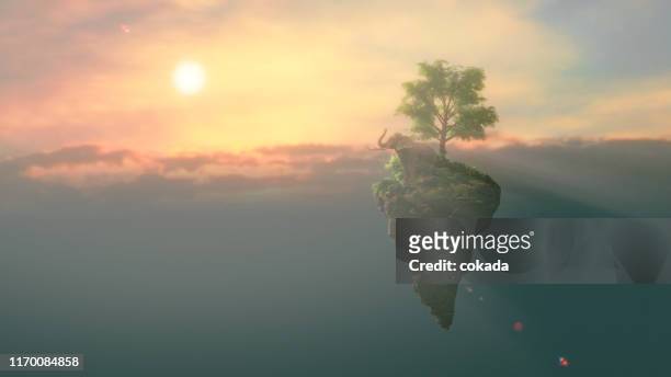 elephant on a floating island - floating island stock pictures, royalty-free photos & images