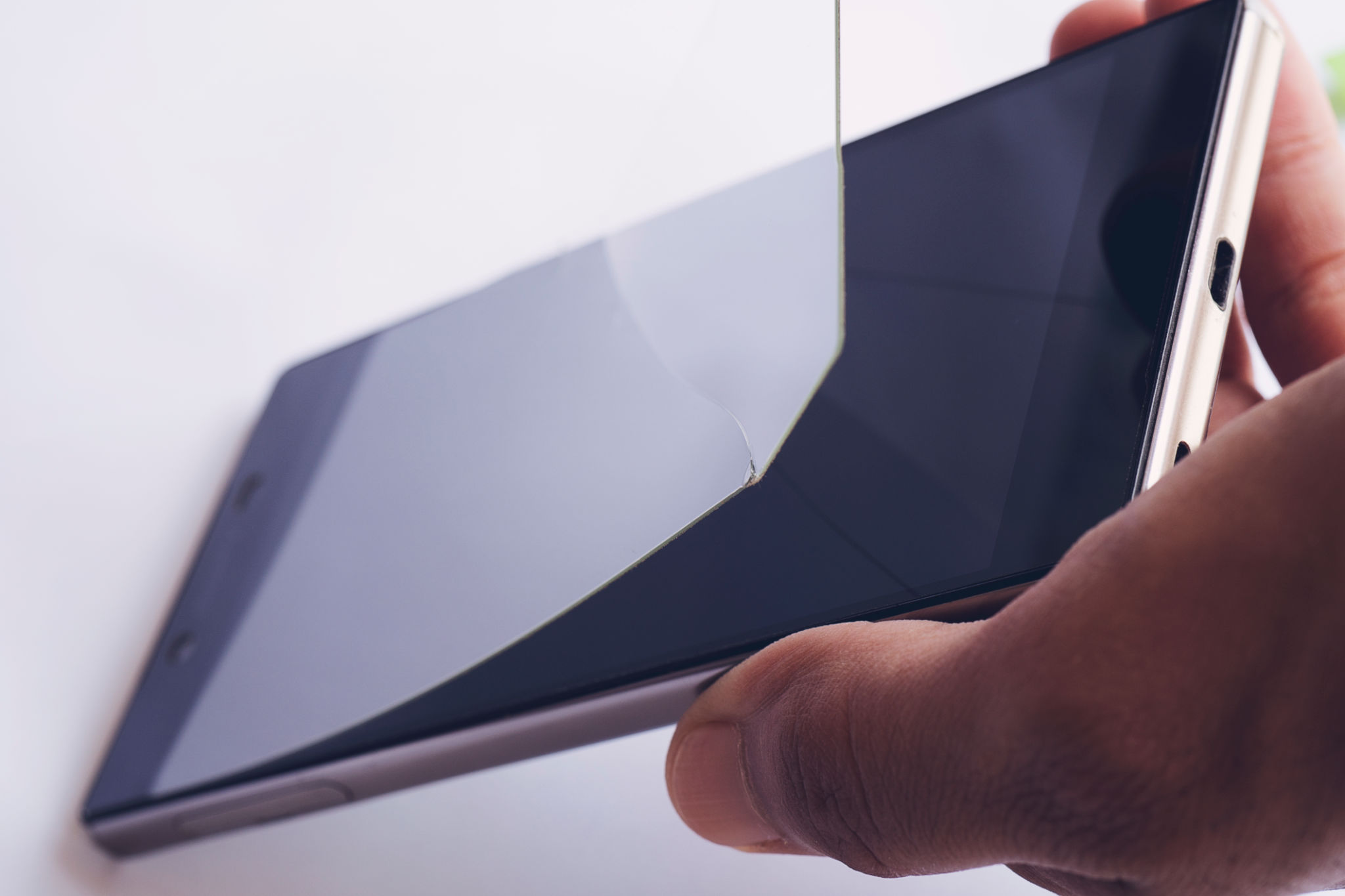 screen protector