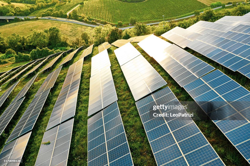 Champs de panneaux solaires sur les collines vertes