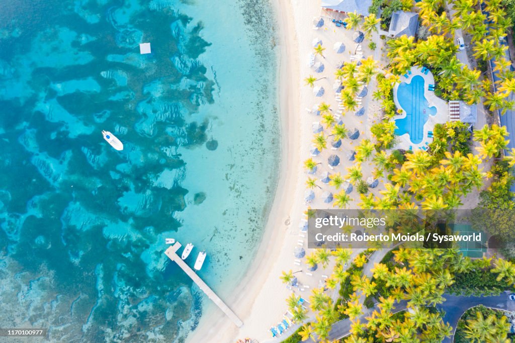 Palm-fringed beach from above, Caribbean Sea