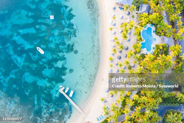 palm-fringed beach from above, caribbean sea - antigua stock-fotos und bilder