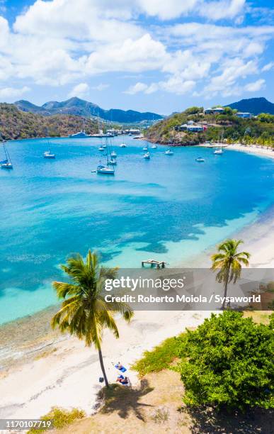 people relaxing on sand beach, caribbean, antilles - ドミニカ共和国 ストックフォトと画像