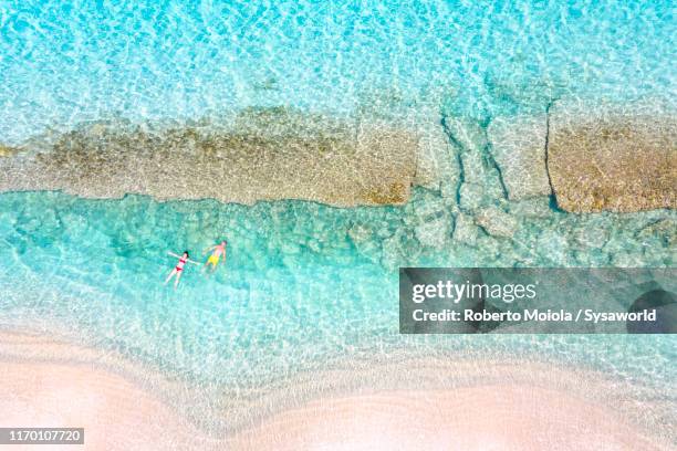 people floating in the caribbean sea, antilles - barbados beach stock pictures, royalty-free photos & images