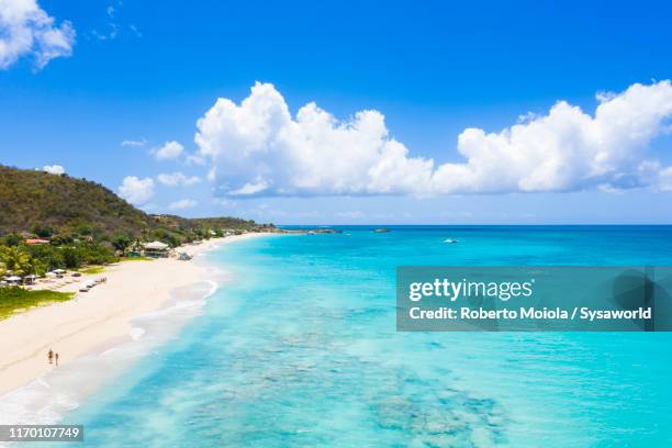 white sand beach from above, caribbean, antilles - antigua & barbuda 個照片及圖片檔