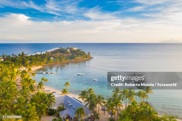 aerial view of palm-fringed beach, caribbean, antilles - hispaniola bildbanksfoton och bilder