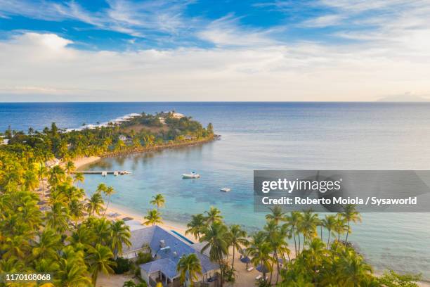 aerial view of palm-fringed beach, caribbean, antilles - mauritius bildbanksfoton och bilder