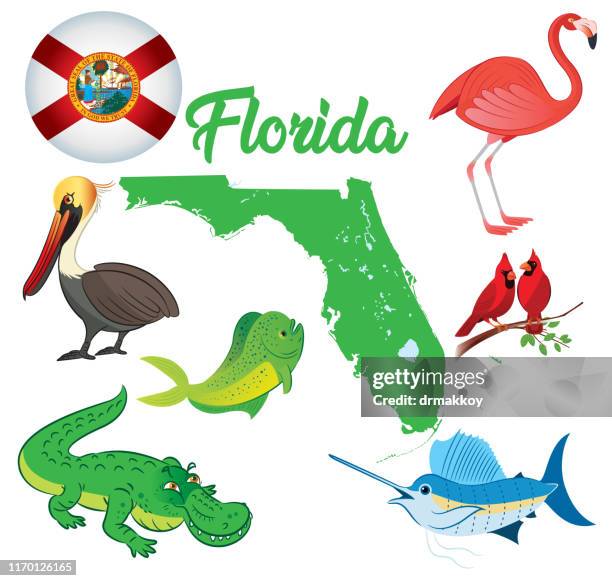 florida animals - orlando florida map stock illustrations