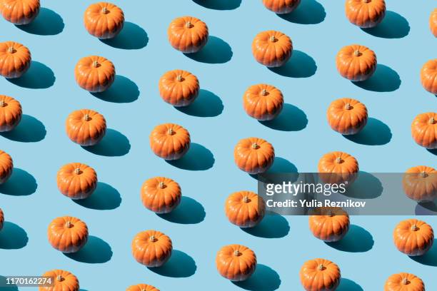 repeated pumpkin on the blue background - pumpkins in a row stock pictures, royalty-free photos & images
