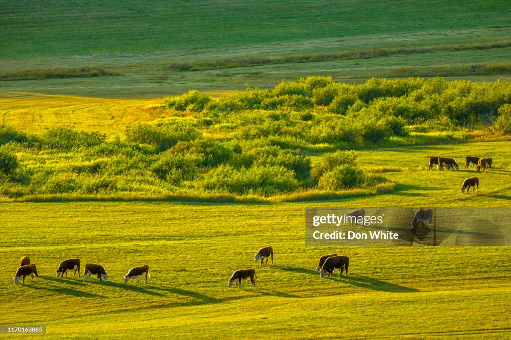 Edmonton Countryside Alberta Canada Countryside High-Res Stock Photo - Getty Images