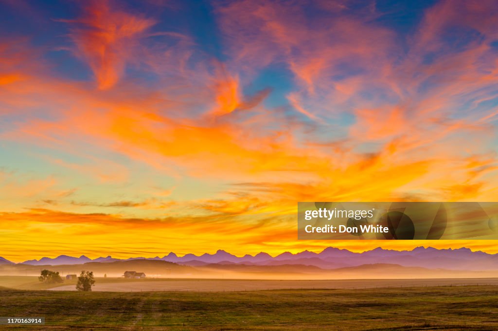 Campagne de l'Alberta Canada