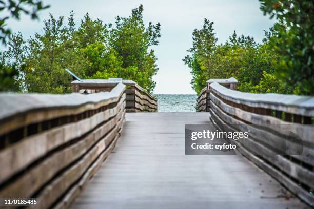 Seasonal Guide to Reducing Environmental Impact in Florida's Coastal Areas