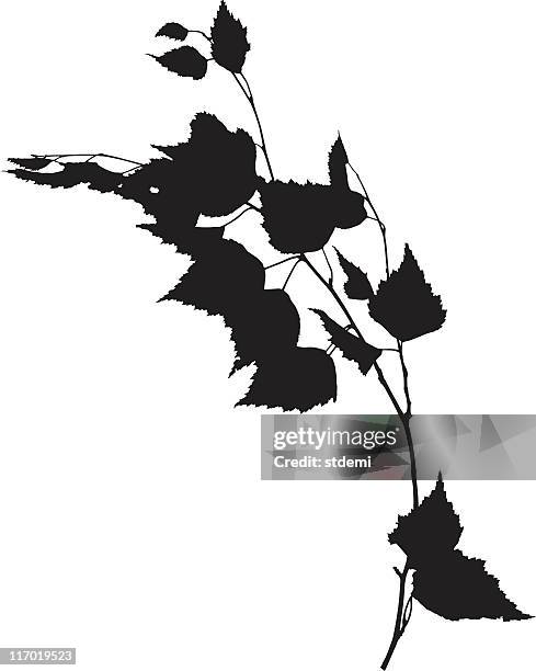 stockillustraties, clipart, cartoons en iconen met black and white graphic of a branch and leaves - berk