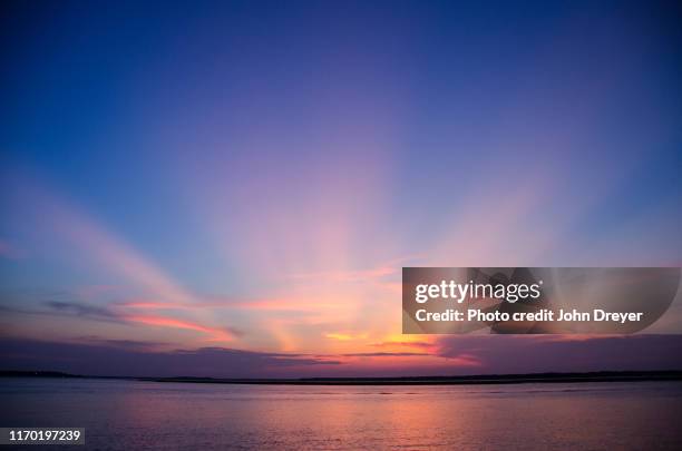 hollywood premier sunset - premiere of fox searchlights garden state arrivals stockfoto's en -beelden