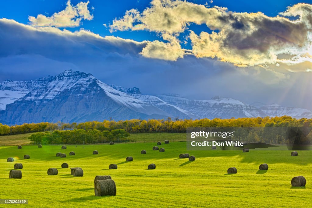 Campagne de l'Alberta Canada