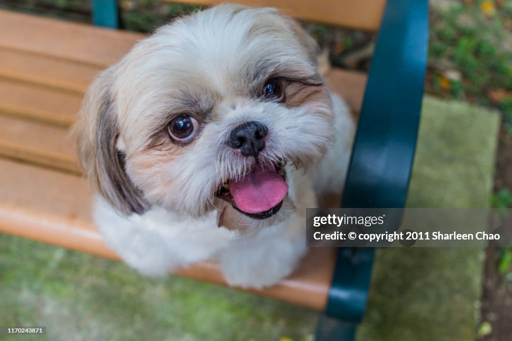 Looking Up With Big Smile High-Res Stock Photo - Getty Images Looking Up With Big Smile High-Res Stock Photo - Getty Images