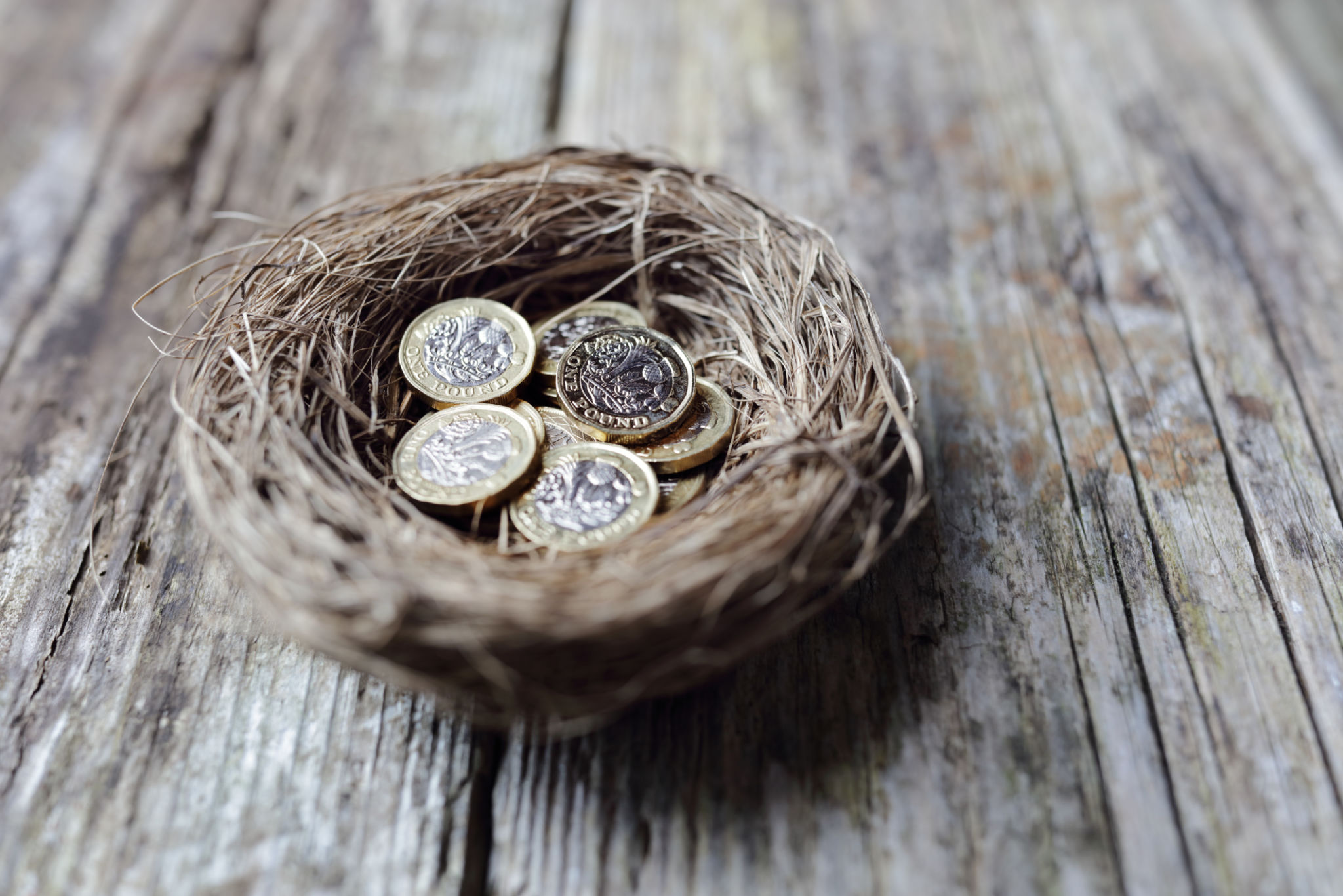 Retirement savings British pound coins in birds nest egg Retirement savings British pound coins in birds nest egg