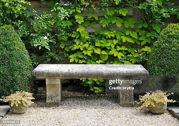 garden with stone bench , buxus plants and potted sedum plants. - garden bench stock pictures, royalty-free photos & images