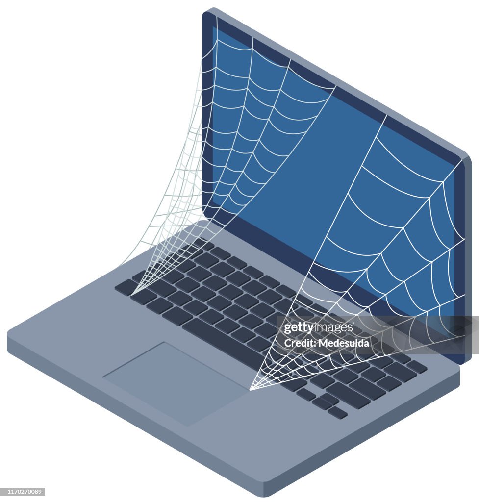 Spiderweb High-Res Vector Graphic - Getty Images
