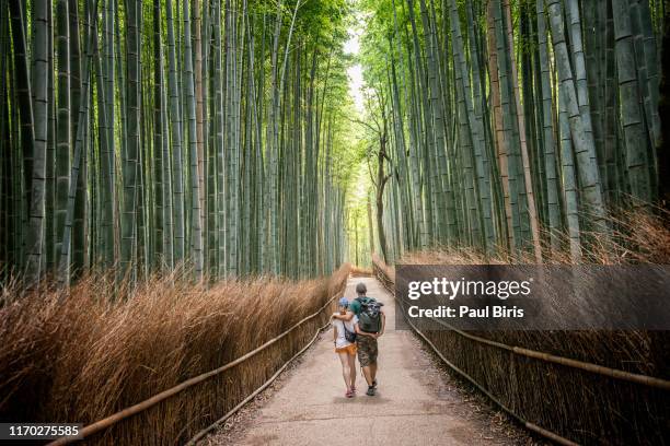 cheerful couple walking through bamboo forest, kyoto,japan - bambushain stock-fotos und bilder